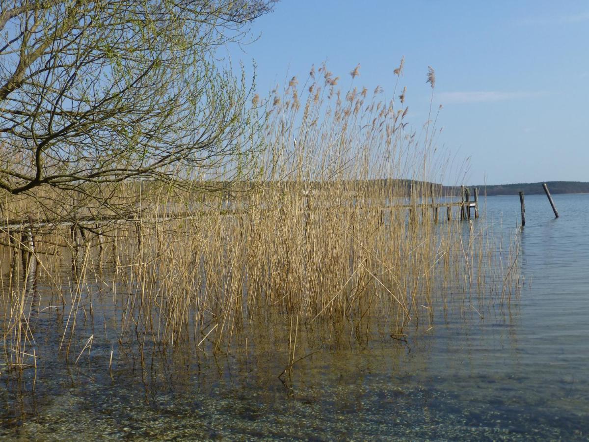 Altes Fischerhaus Plau am See Exterior foto